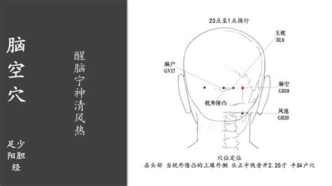 腦門穴|腦空穴位置 